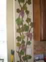 Kitchen Grape Vines by Cabinets